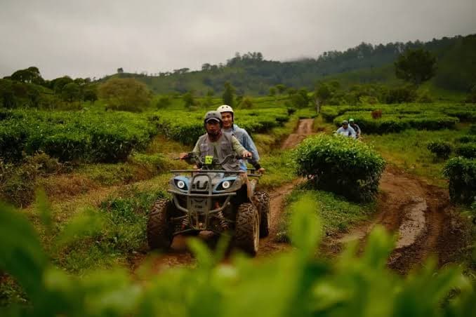 ATV Adventure
