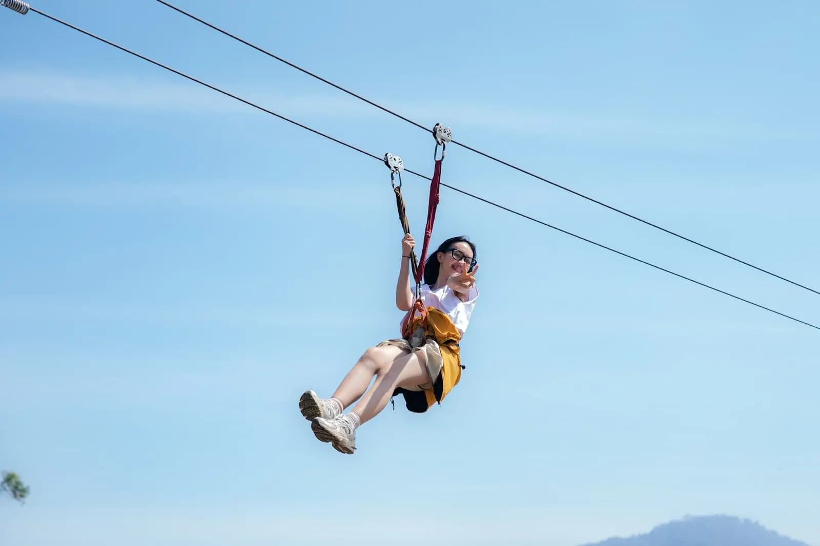 Flying Fox Situ Cileunca